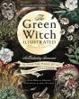 Green Witch Illustrated - Preview