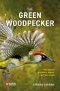 Green Woodpecker - Preview