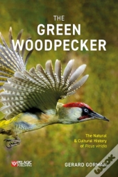 Green Woodpecker