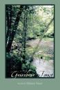 Greenbrier Forest - Preview