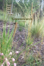 Greenswards - Preview
