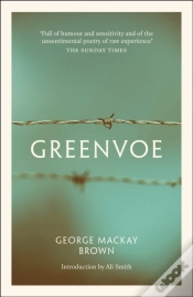 Capa do artigo Greenvoe