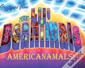 Greetings From The Lil' Beanimals: Ameri