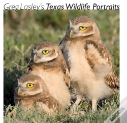 Capa do artigo Greg Lasley'S Texas Wildlife Portraits