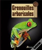 Grenouilles Arboricoles