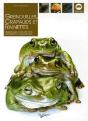 Grenouilles, Crapauds Et Reinettes - Preview