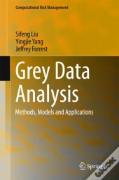 Grey Data Analysis