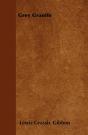 Grey Granite - Preview