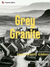 Capa do artigo Grey Granite