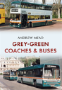 Grey-Green - Preview