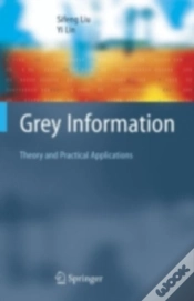Capa do artigo Grey Information