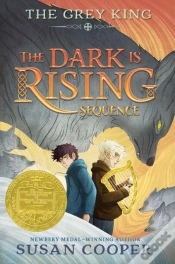 Capa do artigo Grey King
