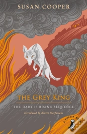 Capa do artigo Grey King