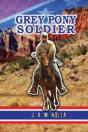 Grey Pony Soldier - Preview