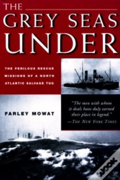 Capa do artigo Grey Seas Under