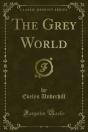 Grey World - Preview