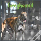 Capa do artigo Greyhound Calendar 2022