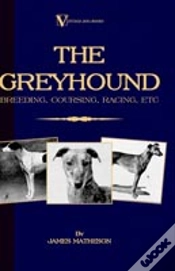 Capa do artigo Greyhound