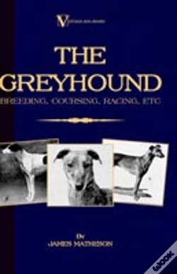 Capa do artigo Greyhound