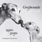 Greyhounds Big & Small - Preview