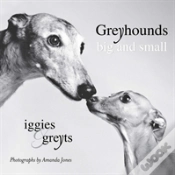 Capa do artigo Greyhounds Big & Small