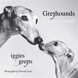 Capa do artigo Greyhounds Big & Small