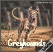 Greyhounds Calendar 2022