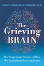 Grieving Brain - Preview