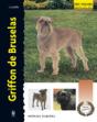 Griffon De Bruselas - Preview