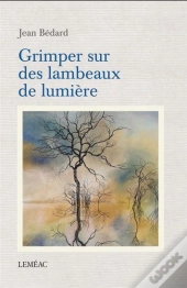 Grimper Sur Des Lambeaux De Lumière