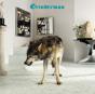 Grinderman 2 - Vinil - Preview