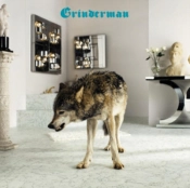 Capa do artigo Grinderman 2 - Vinil