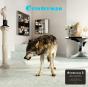 Grinderman 2 - Vinil - Preview