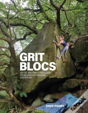 Capa do artigo Grit Blocs