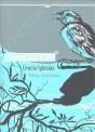 Gritos Verticales - Preview