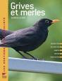 Grives Et Merles - Preview