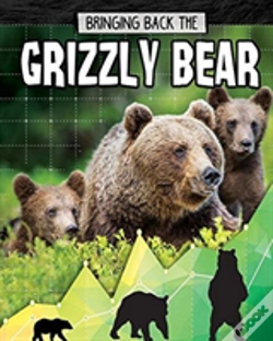 Capa do artigo Grizzly Bear