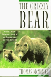 Grizzly Bear