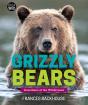 Grizzly Bears - Preview