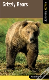 Grizzly Bears