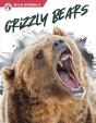 Grizzly Bears - Preview