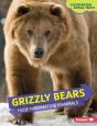 Grizzly Bears - Preview