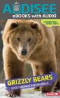 Grizzly Bears - Preview