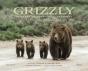Grizzly - Preview