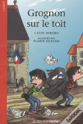 Grognon Sur Le Toit