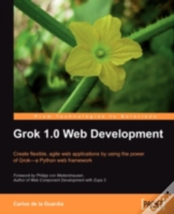Capa do artigo Grok 1.0 Web Development