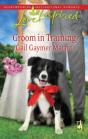 Groom In Training - Preview