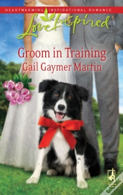 Capa do artigo Groom In Training