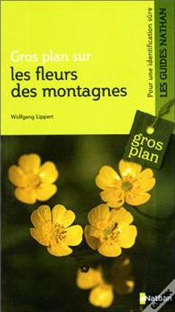 Capa do artigo Gros Plan Fleurs Des Montagnes