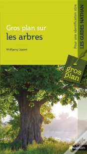 Capa do artigo Gros Plan Sur Les Arbres